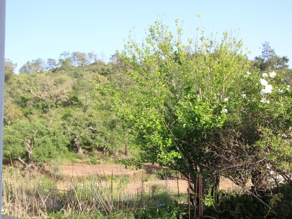 Terreno Urbano em Porto de Lagos, Portimão - Image 6