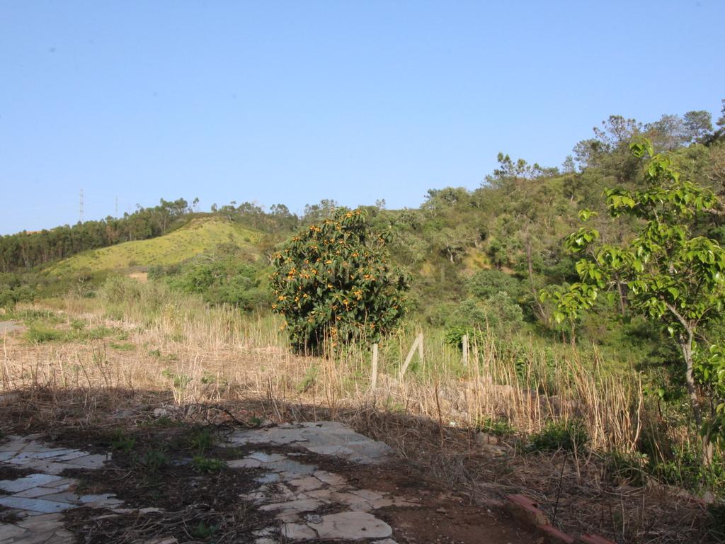 Terreno Urbano em Porto de Lagos, Portimão - Image 7