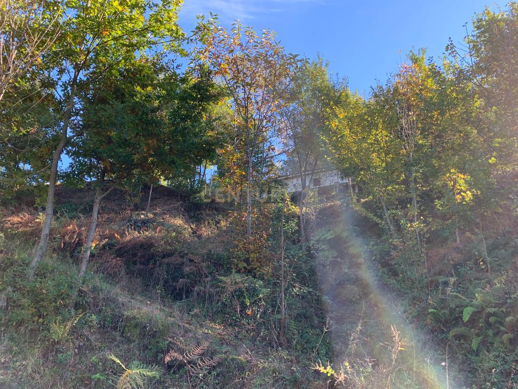 Fabulosa Quinta à Venda zona do Gerês – Um Oásis Natural com 28.000m² Terreno - Image 19