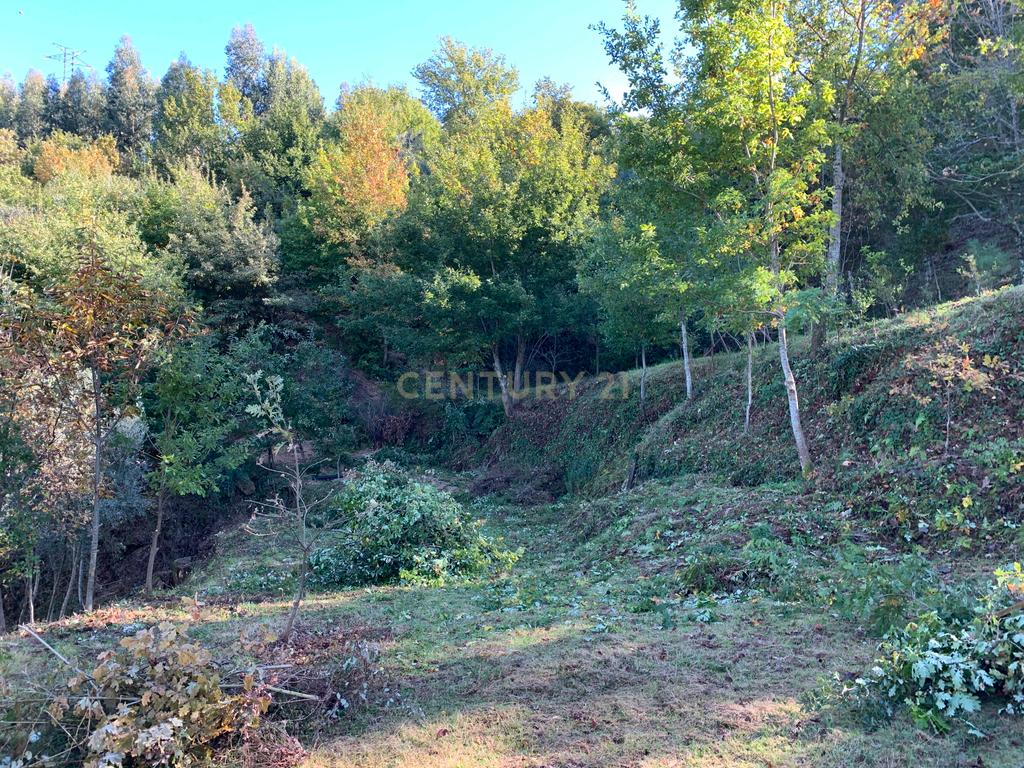 Fabulosa Quinta à Venda zona do Gerês – Um Oásis Natural com 28.000m² Terreno - Image 20