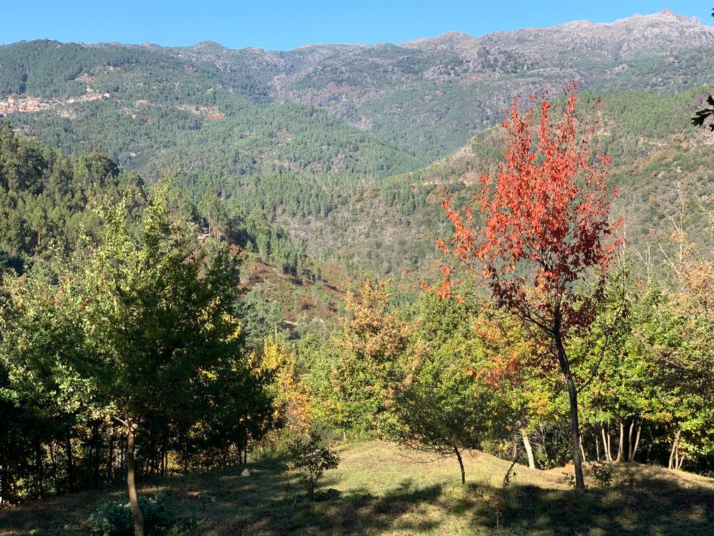 Fabulosa Quinta à Venda zona do Gerês – Um Oásis Natural com 28.000m² Terreno - Image 21