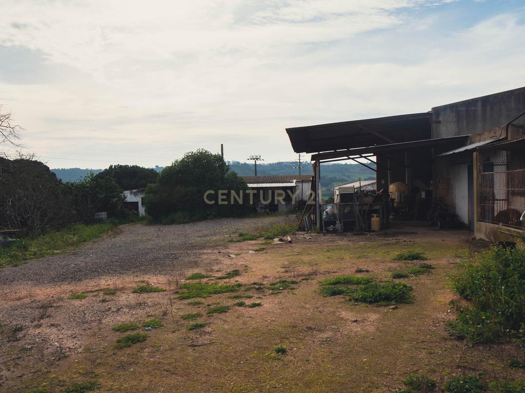 Quinta em Santarém com 24 Hectares de Terreno - Image 53