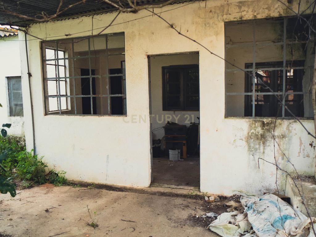 Quinta em Santarém com 24 Hectares de Terreno - Image 64