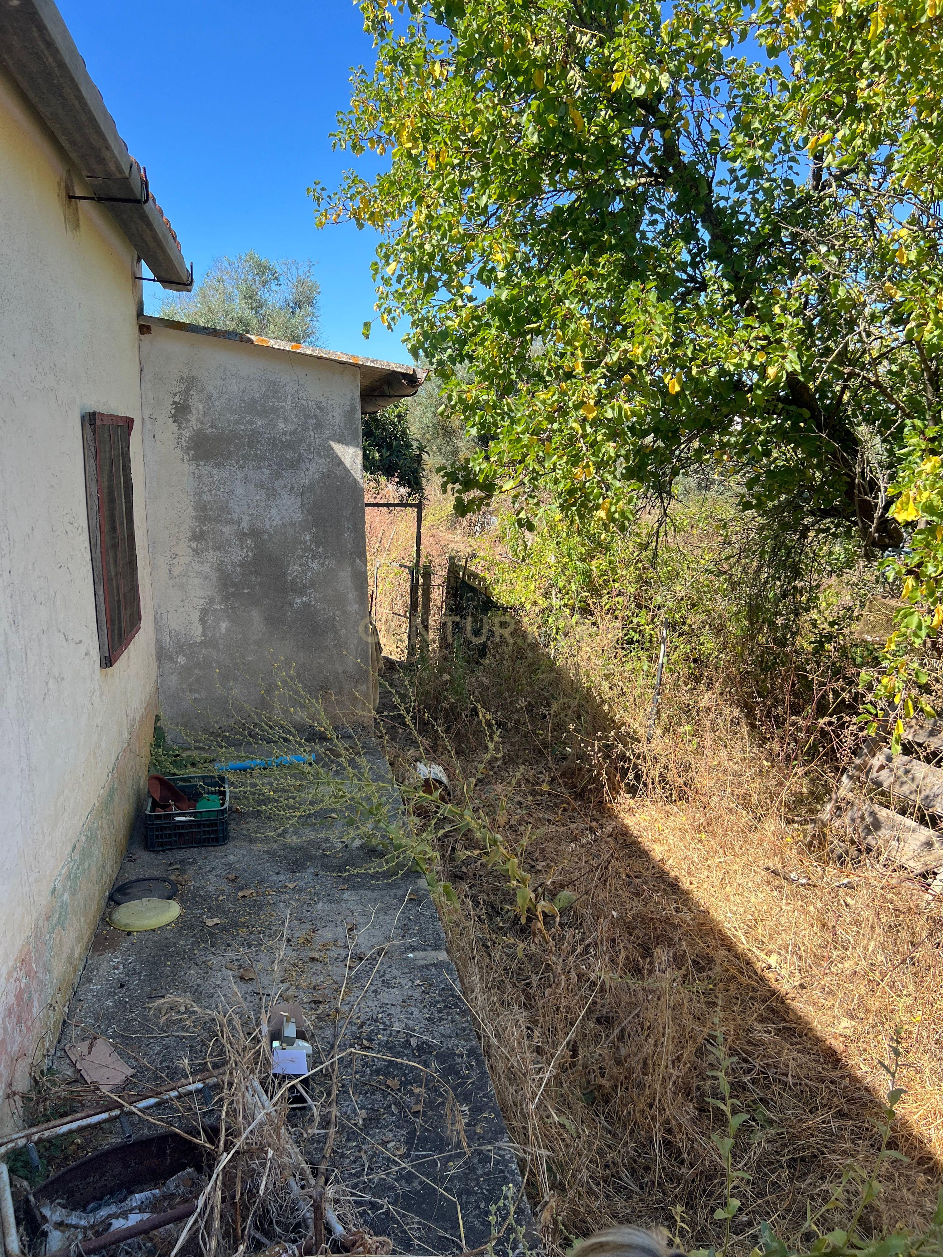 # Terreno Rustico em pleno centro de Montemor -o -Novo - Image 55