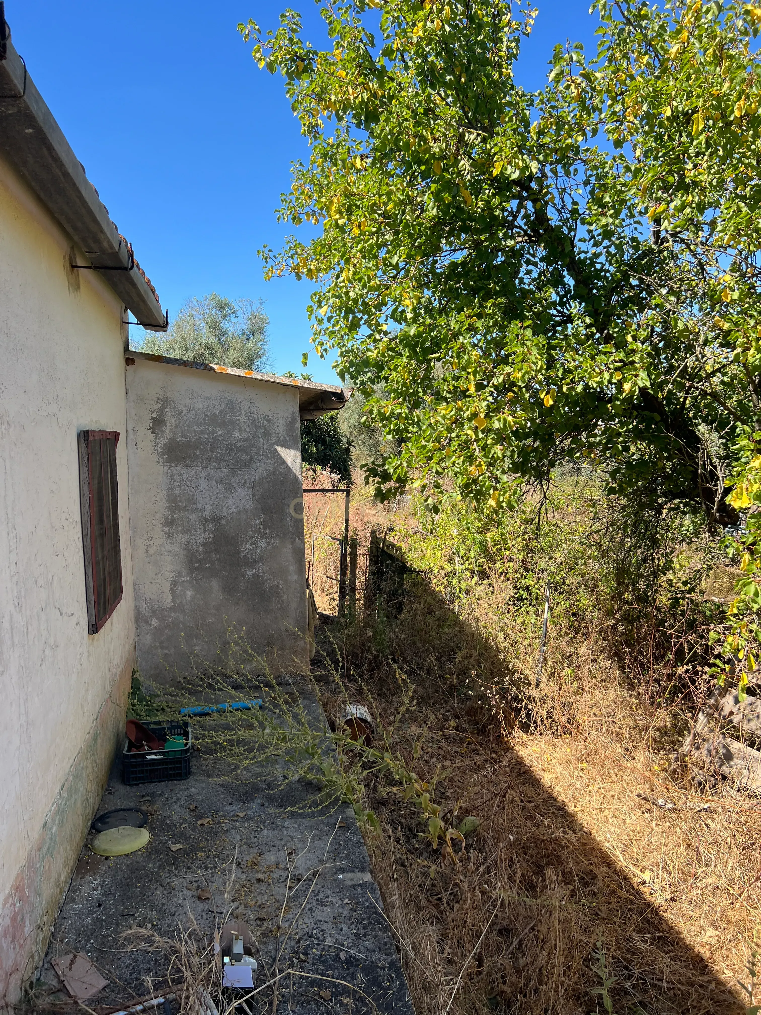 # Terreno Rustico em pleno centro de Montemor -o -Novo - Image 54