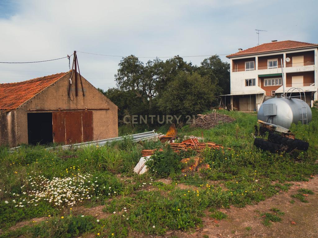 Quinta em Santarém com 24 Hectares de Terreno - Image 54