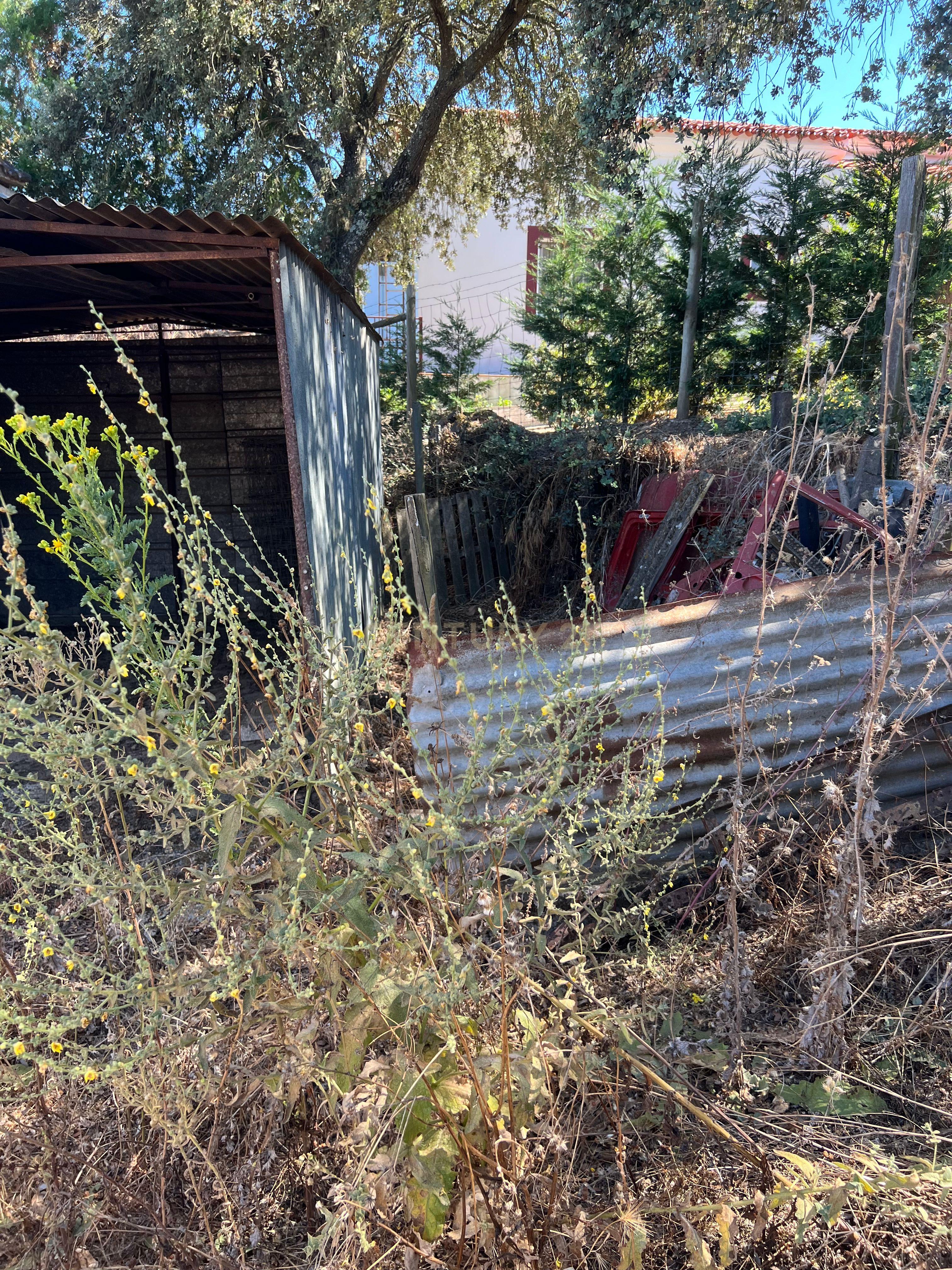 # Terreno Rustico em pleno centro de Montemor -o -Novo - Image 51