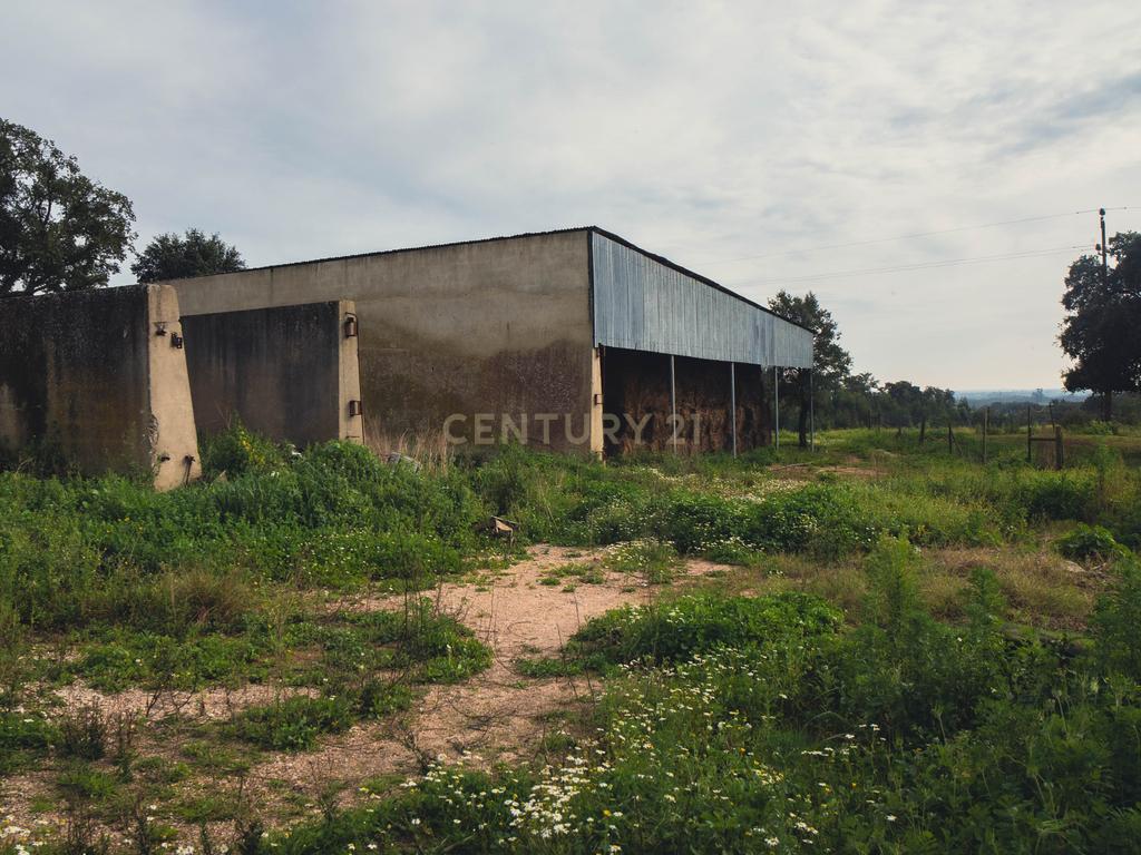 Quinta em Santarém com 24 Hectares de Terreno - Image 50
