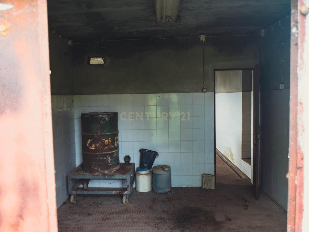 Quinta em Santarém com 24 Hectares de Terreno - Image 66