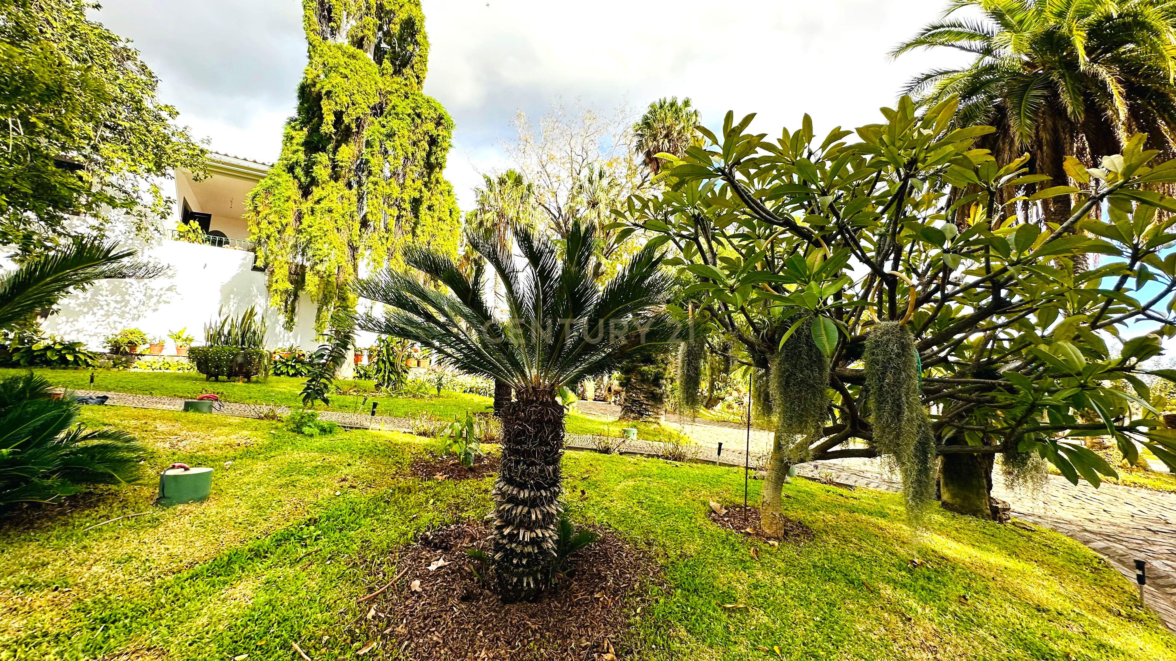 Moradia T6+ à venda em São Roque, Funchal — foto 13