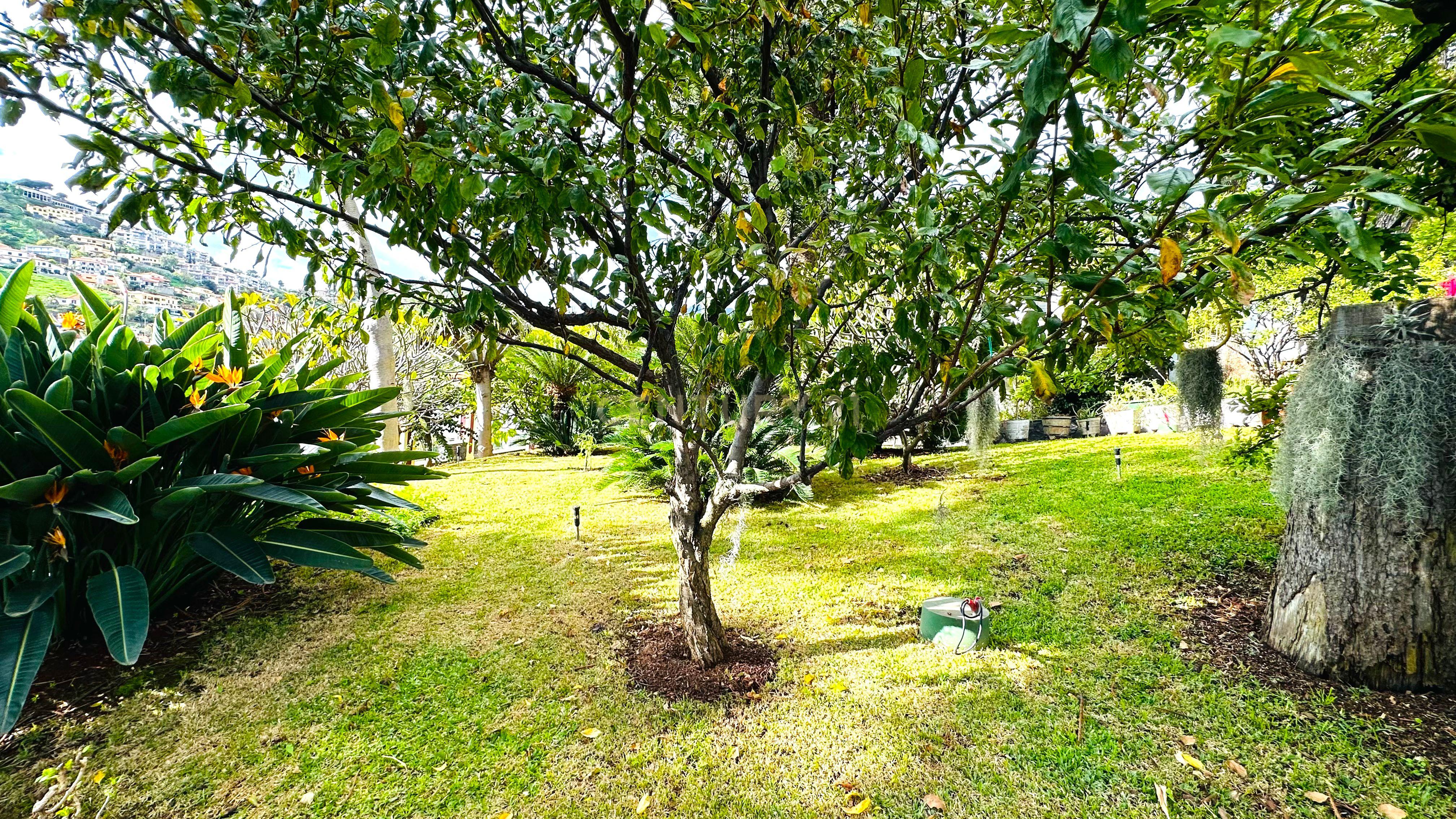 Moradia T6+ à venda em São Roque, Funchal — foto 15