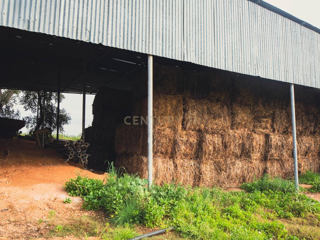 Quinta em Santarém com 24 Hectares de Terreno - Image 52