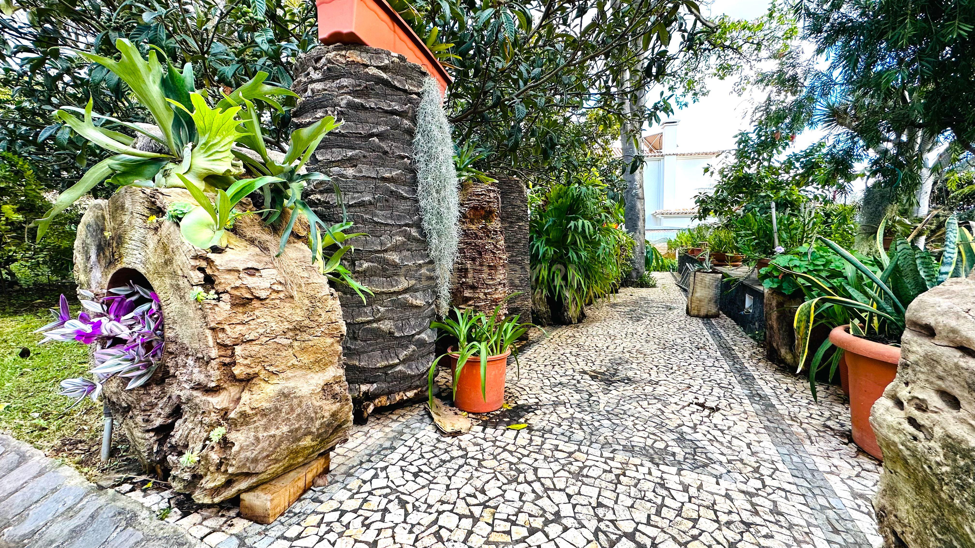 Moradia T6+ à venda em São Roque, Funchal — foto 6