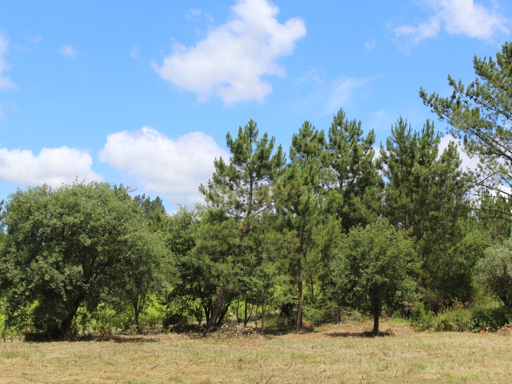 Terreno para construção em Assanha da paz - Image 2