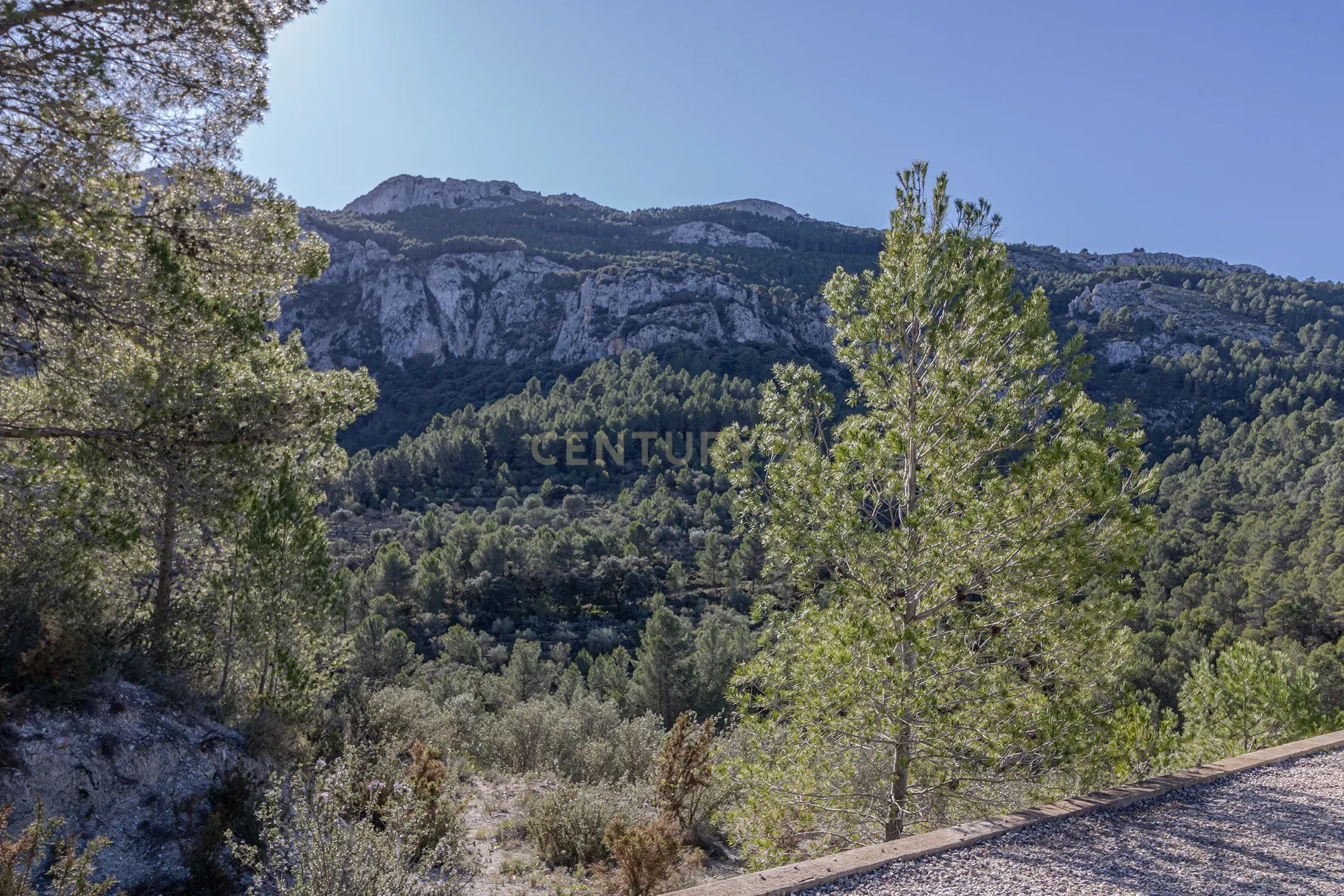 undefined - Image 30
