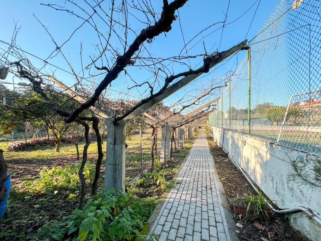 Encantadora Quinta em Vilar de Mouros, Caminha - Image 46