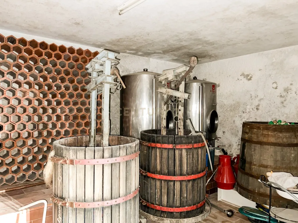 Encantadora Quinta em Vilar de Mouros, Caminha - Image 51