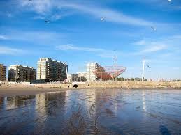 T2 Nautilus IV, Matosinhos - Image 9