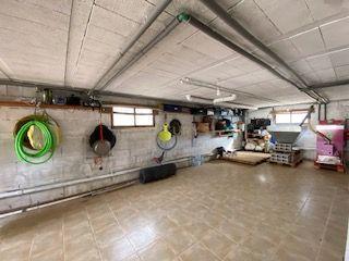 undefined - Image 42