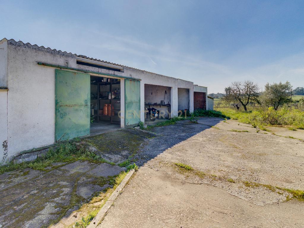 Terreno Único em Setúbal – Ideal para Produtores de Vinho e Agro turismo - Image 34