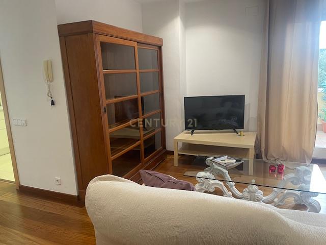  - Image 7