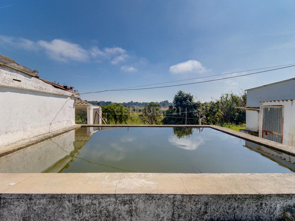 Terreno Único em Setúbal – Ideal para Produtores de Vinho e Agro turismo - Image 2