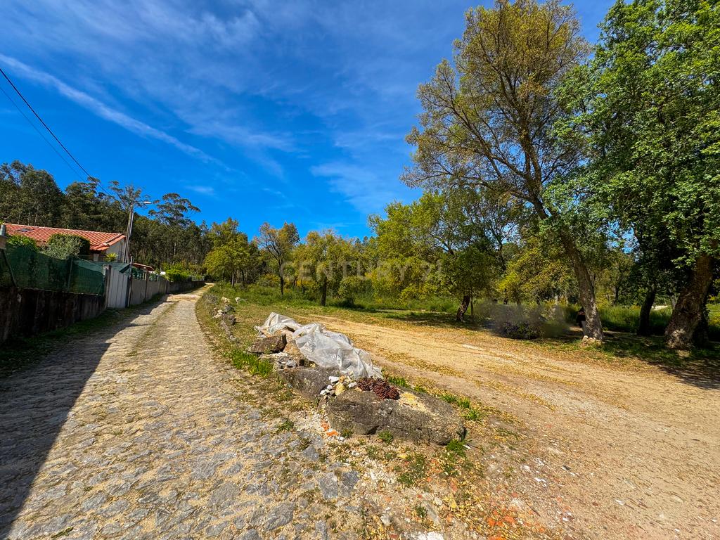 Terreno: "Bouça de Manteiros", ou "das Fontainhas" - Image 41