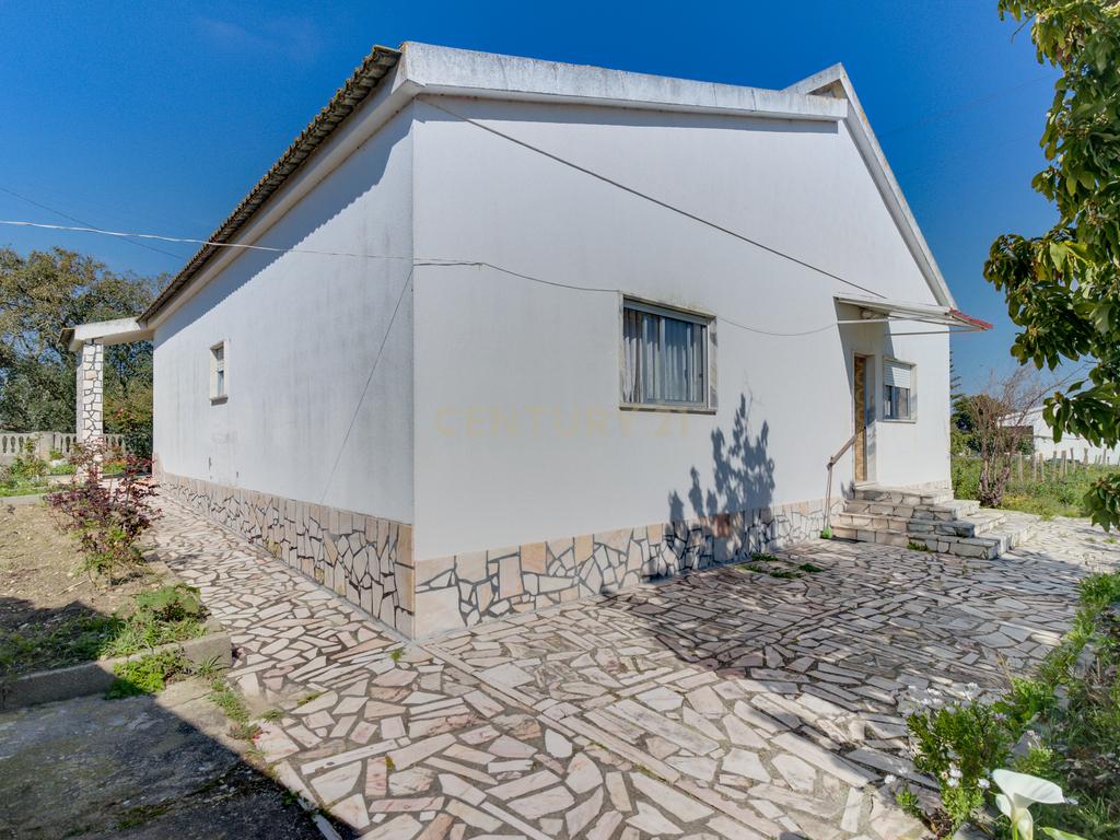 Terreno Único em Setúbal – Ideal para Produtores de Vinho e Agro turismo - Image 4