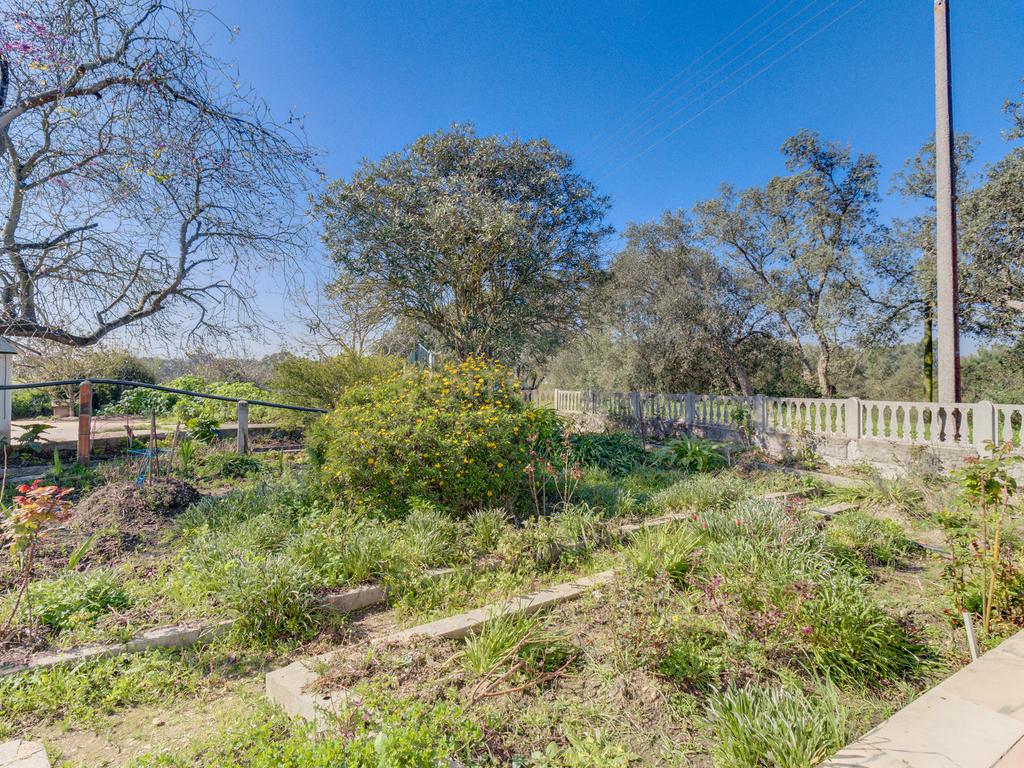 Terreno Único em Setúbal – Ideal para Produtores de Vinho e Agro turismo - Image 40