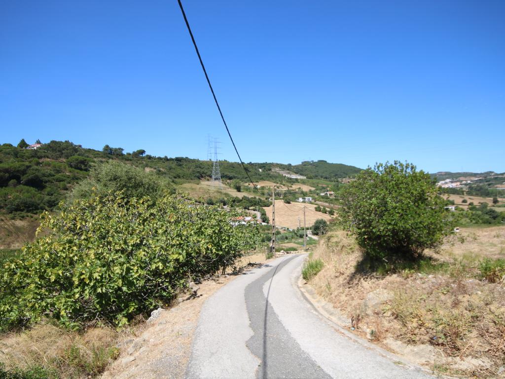 Terreno 13,000 m2  Arruda dos Vinhos, Alverca - Image 17