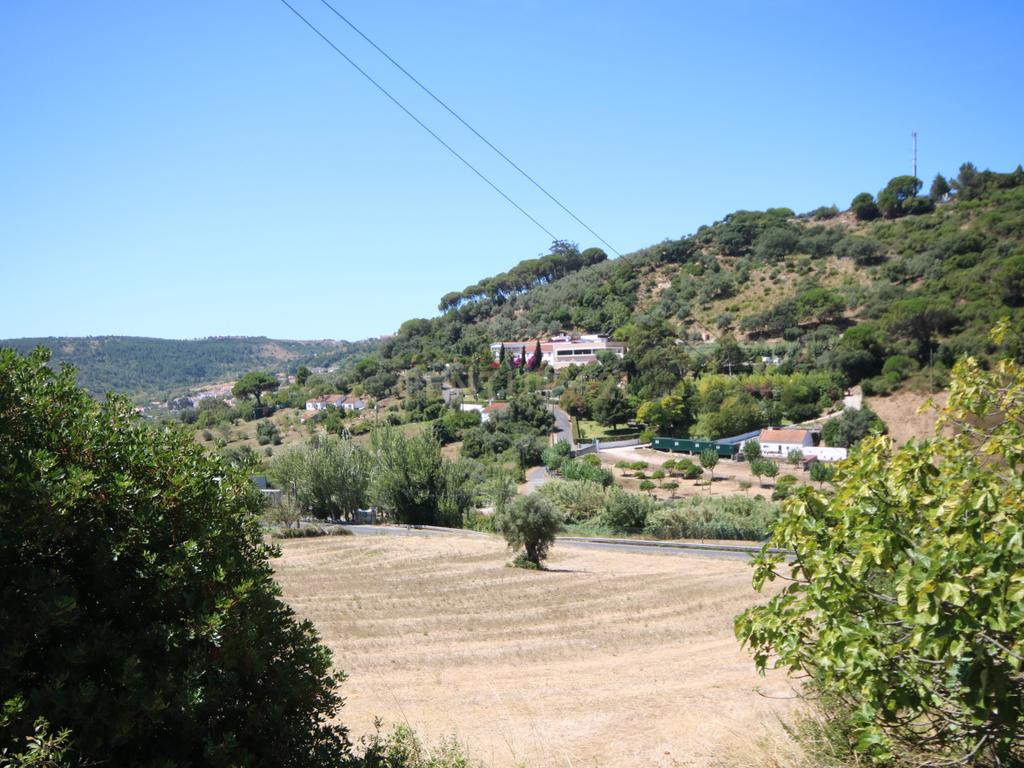 Terreno 13,000 m2  Arruda dos Vinhos, Alverca - Image 18
