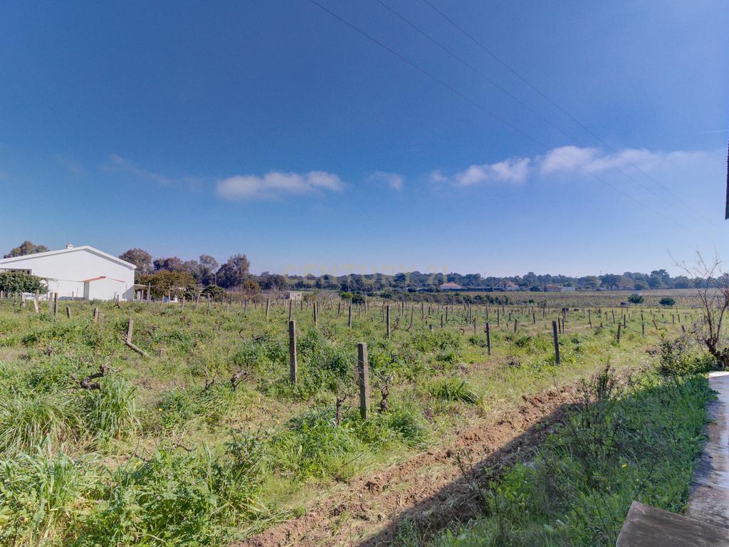 Terreno Único em Setúbal – Ideal para Produtores de Vinho e Agro turismo - Image 41