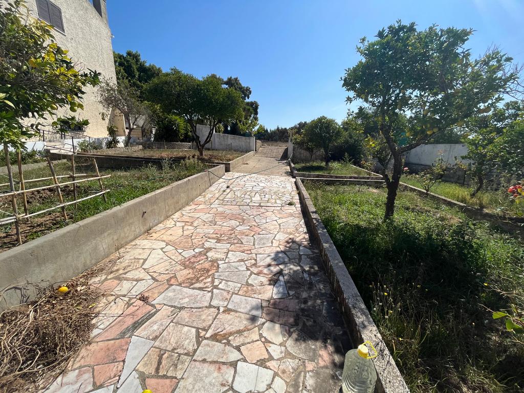 Lote de Terreno para Construção - Image 6