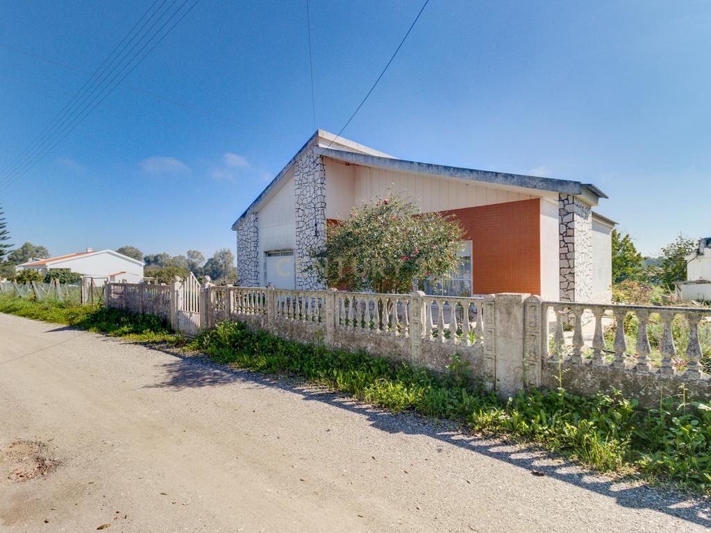 Terreno Único em Setúbal – Ideal para Produtores de Vinho e Agro turismo - Image 3