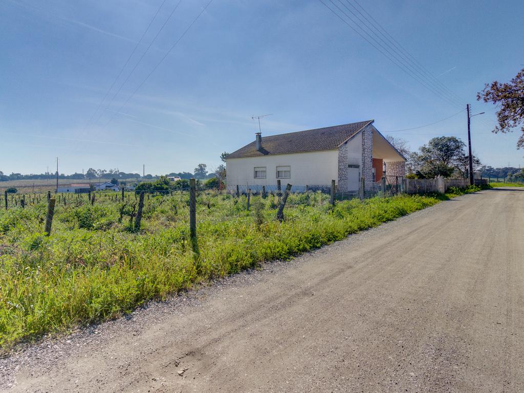 Terreno Único em Setúbal – Ideal para Produtores de Vinho e Agro turismo - Image 1