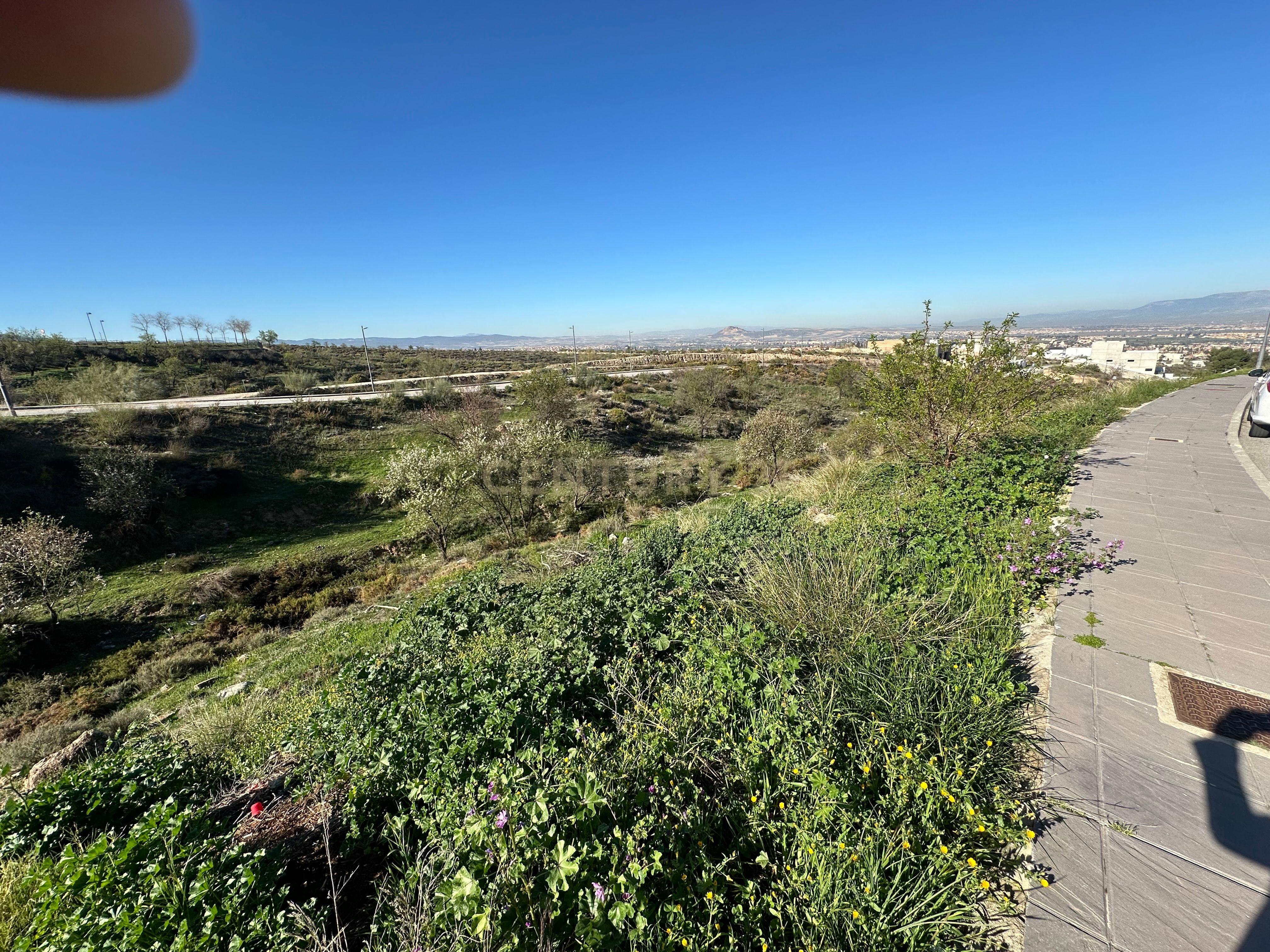 undefined - Image 5