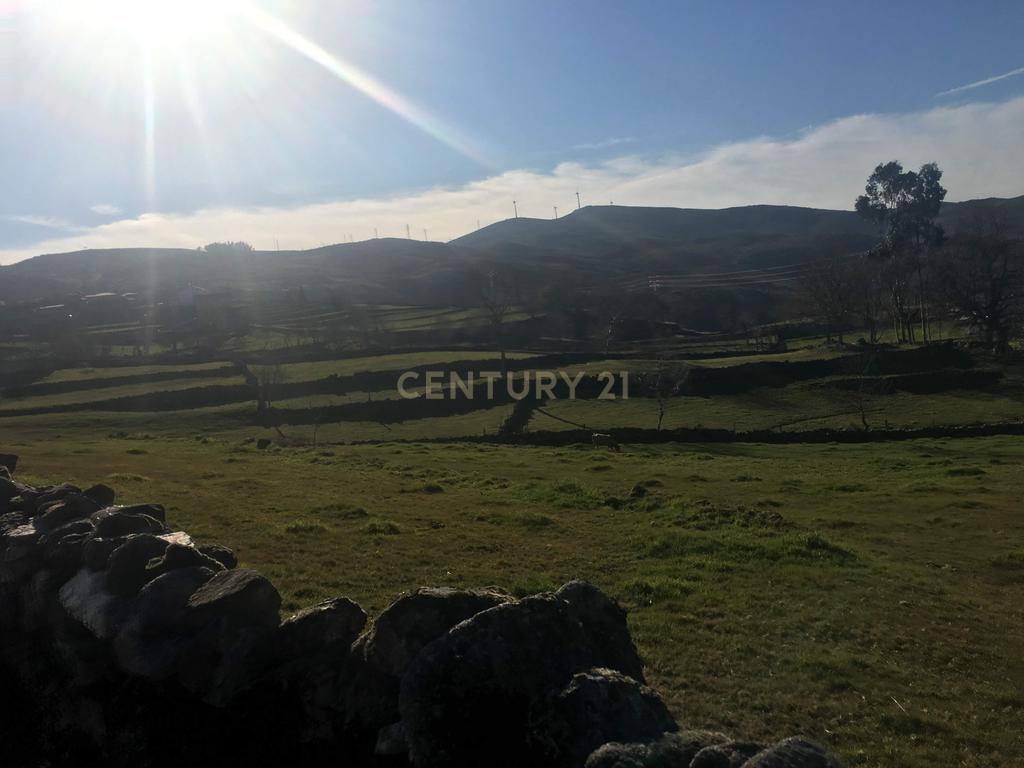 Quinta com água Nascente na Zona de Gerês - Image 19
