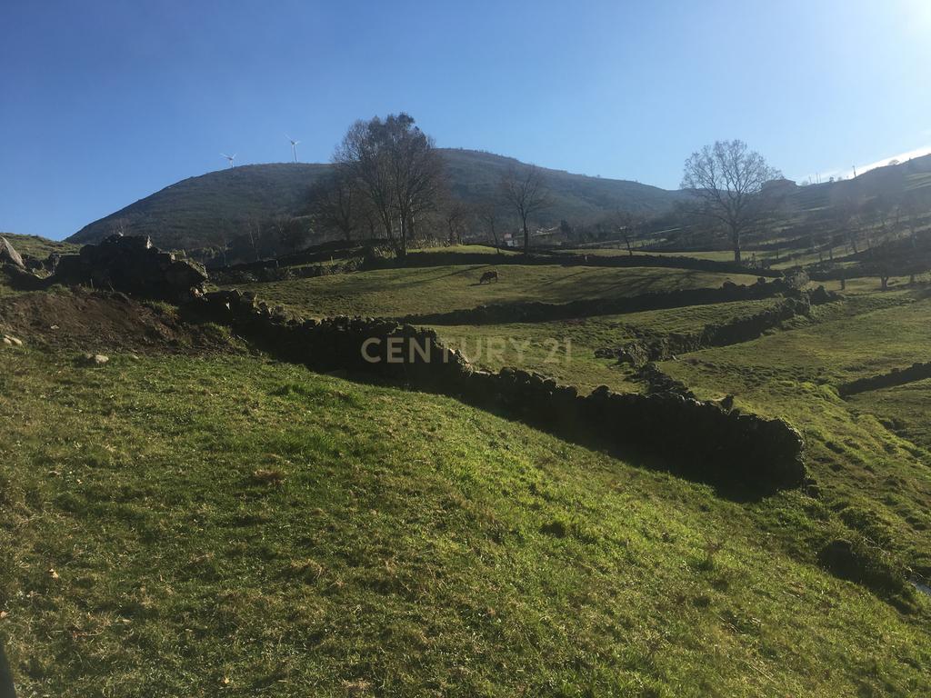 Quinta com água Nascente na Zona de Gerês - Image 20