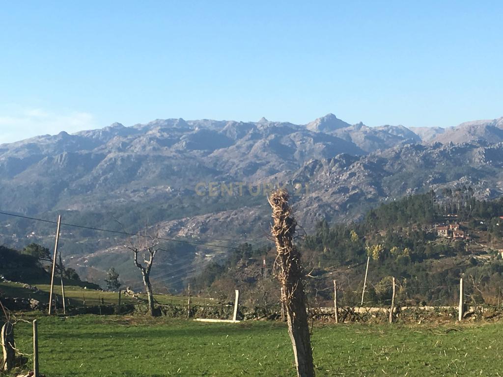 Quinta com água Nascente na Zona de Gerês - Image 5