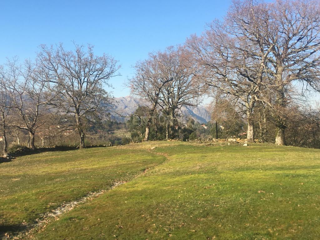 Quinta com água Nascente na Zona de Gerês - Image 24