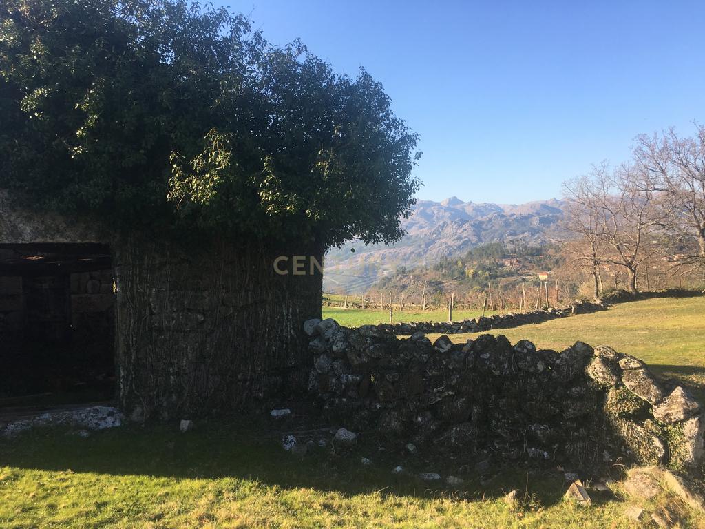 Quinta com água Nascente na Zona de Gerês - Image 25