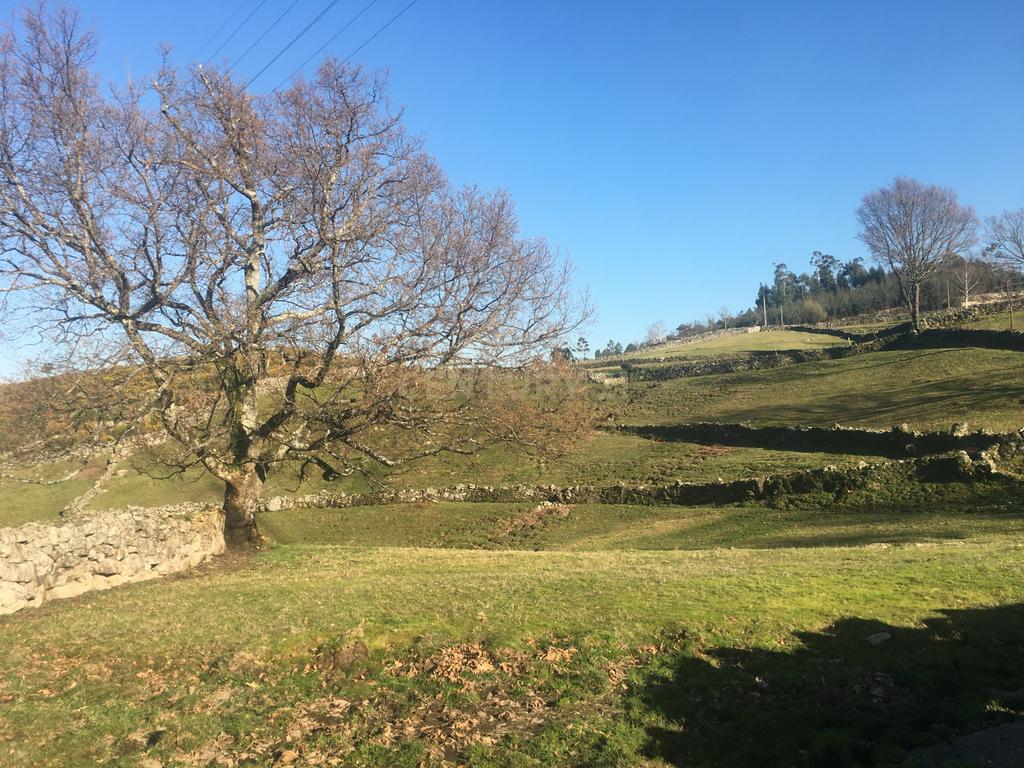 Quinta com água Nascente na Zona de Gerês - Image 26