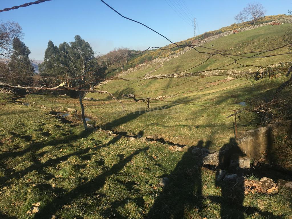 Quinta com água Nascente na Zona de Gerês - Image 28