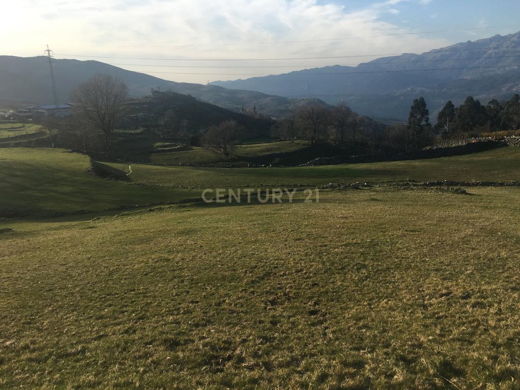 Quinta com água Nascente na Zona de Gerês - Image 29