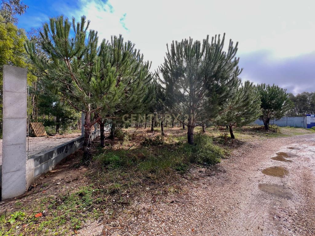 Terreno com Viabilidade de Construção, Monte Real - Image 18