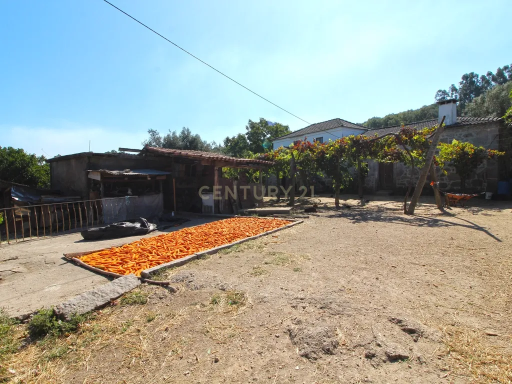 Quinta Gemieira, Ponte de Lima - Image 14