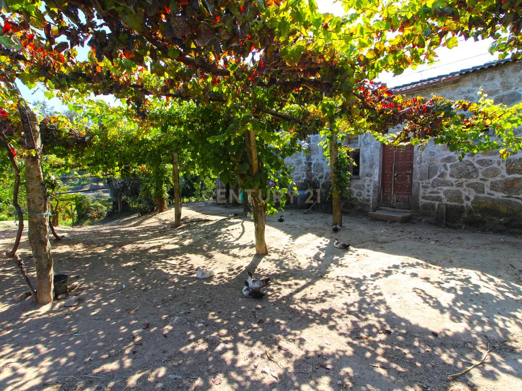 Quinta Gemieira, Ponte de Lima - Image 3