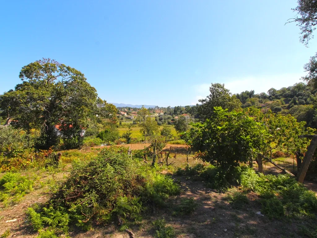 Quinta Gemieira, Ponte de Lima - Image 9