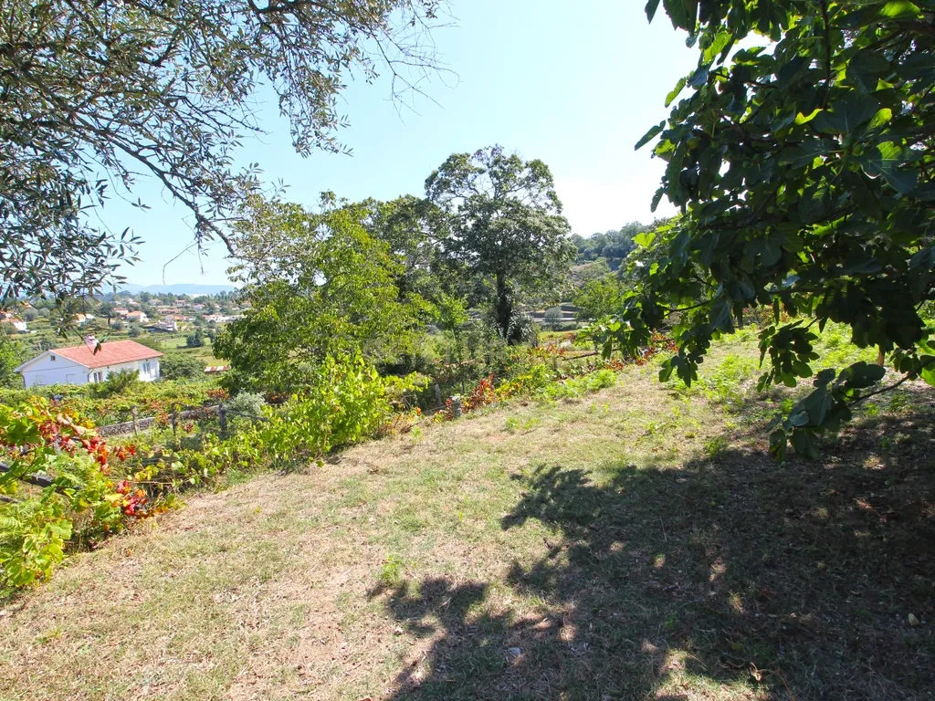 Quinta Gemieira, Ponte de Lima - Image 7