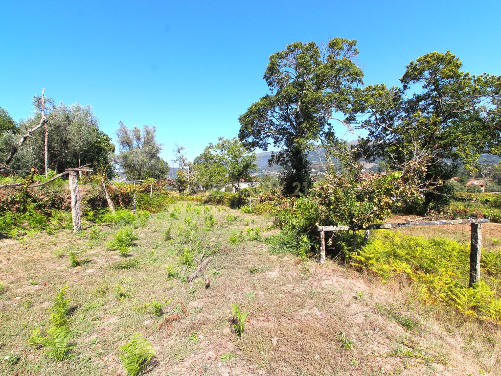 Quinta Gemieira, Ponte de Lima - Image 8